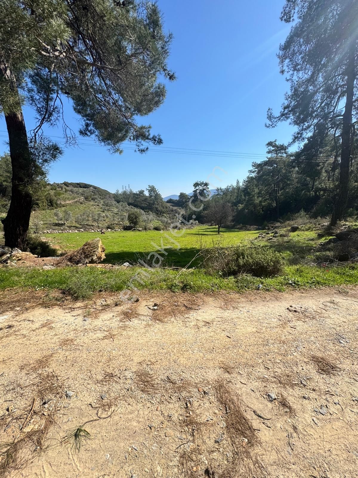 Ege'de, Muğla-bodrum Yoluna 100 Metre | 2.268 M² Düz Tarla - Görsel 9