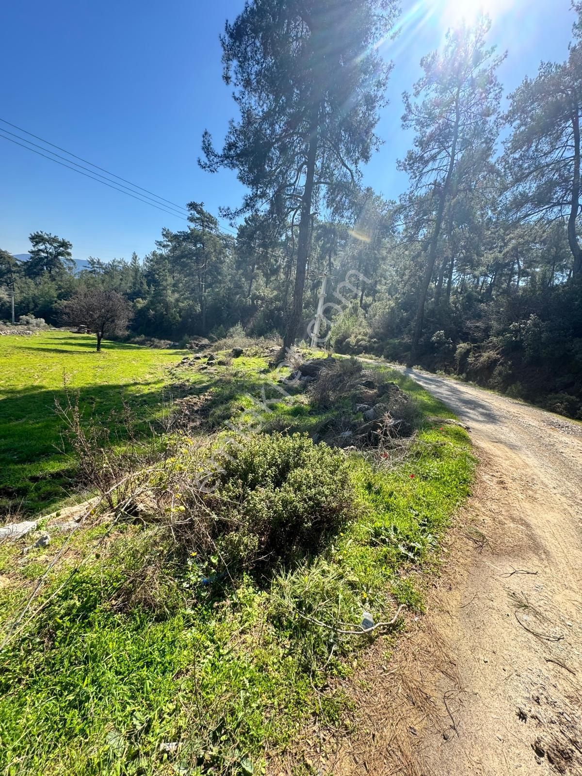 Ege'de, Muğla-bodrum Yoluna 100 Metre | 2.268 M² Düz Tarla - Görsel 8