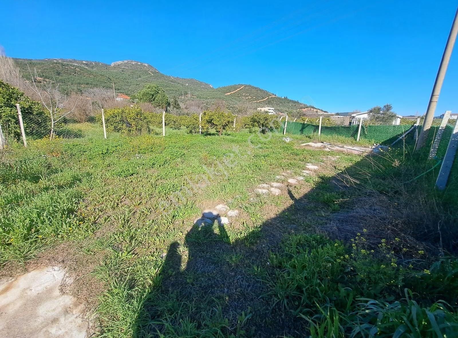 İzmir Seferihisar Kavaklıdere De Satılık Arsa - Görsel 3