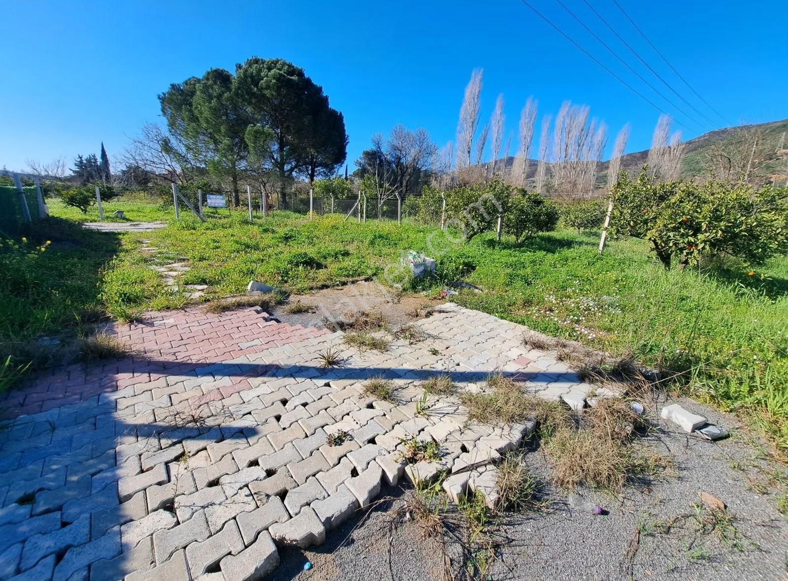 İzmir Seferihisar Kavaklıdere De Satılık Arsa - Görsel 12