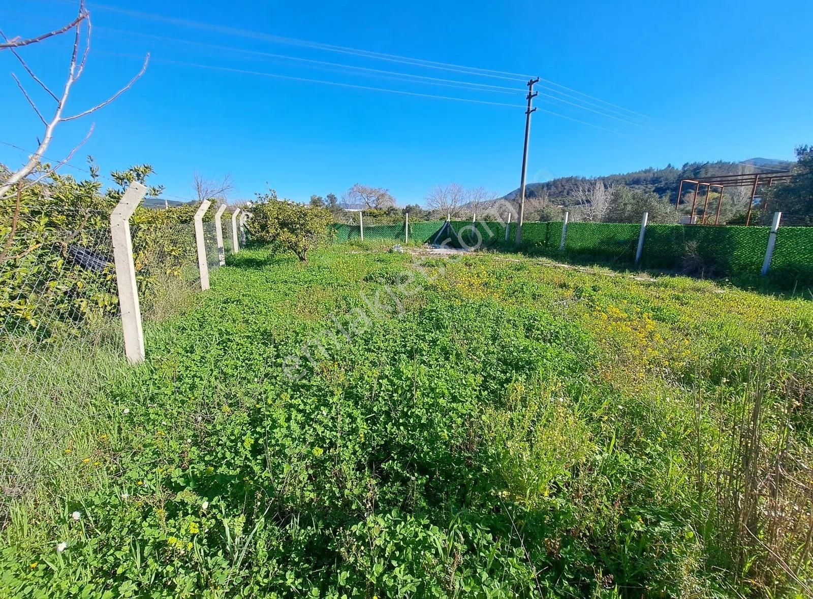 İzmir Seferihisar Kavaklıdere De Satılık Arsa - Görsel 5