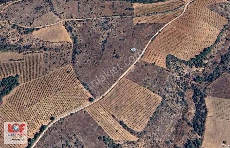 Lobby Fortis'ten Bekilli Yahyalar Mahallesinde Satılık Tarla - Görsel 4