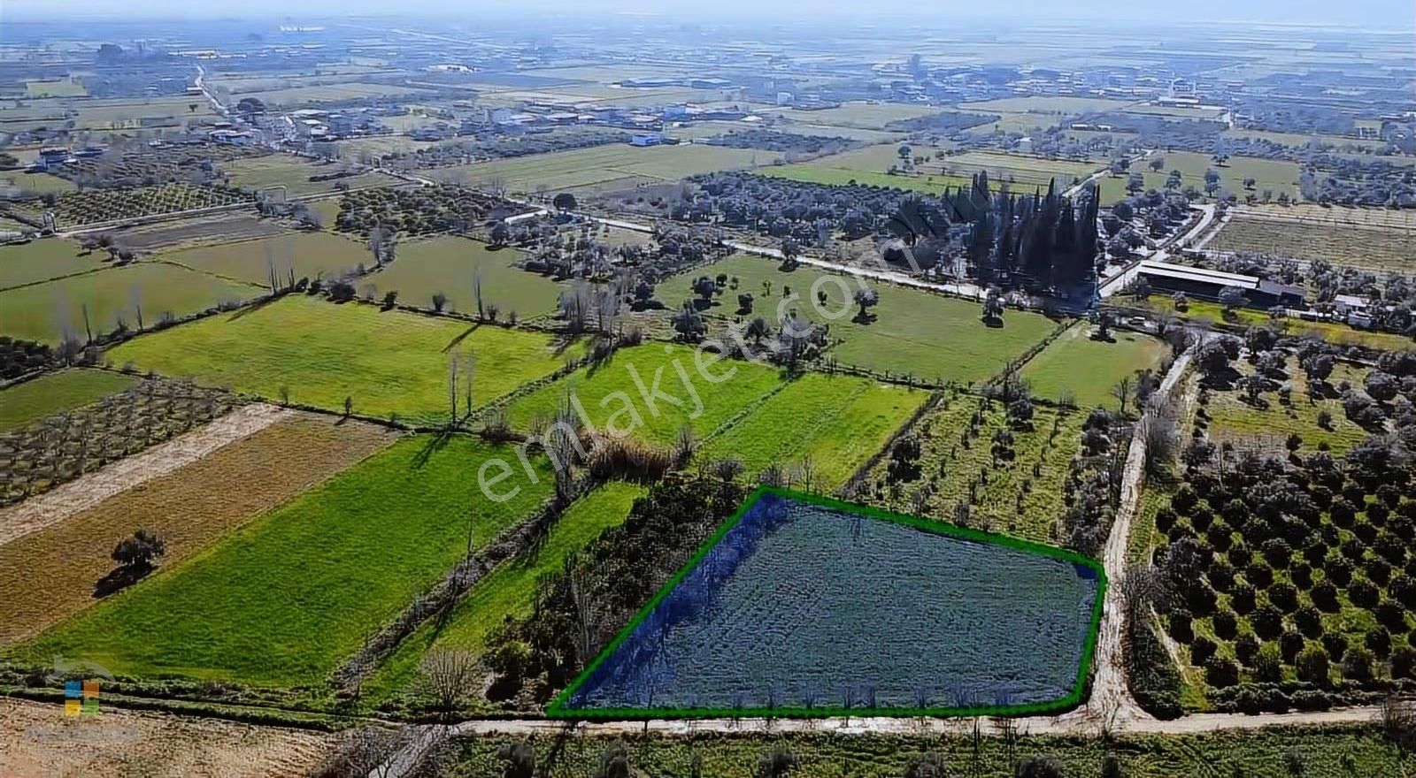 Aydın Nazilli Güzelköy Mahallesinde Satılık 2.762 M² Tarla - Görsel 5