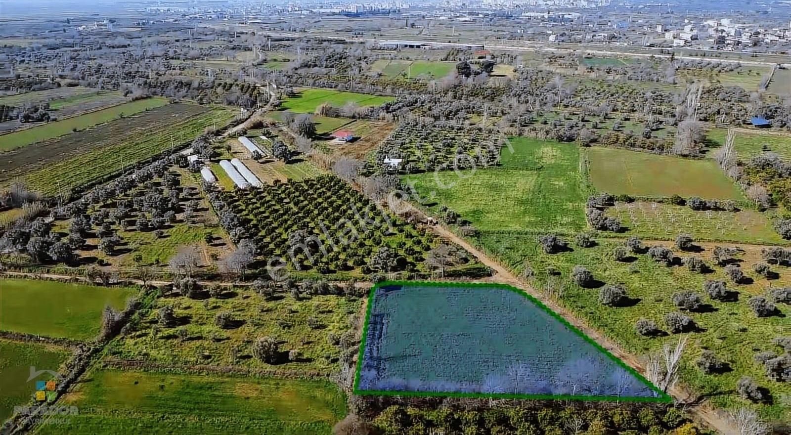 Aydın Nazilli Güzelköy Mahallesinde Satılık 2.762 M² Tarla - Görsel 10