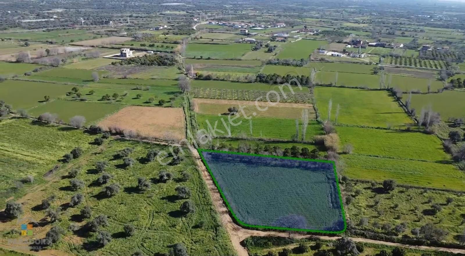 Aydın Nazilli Güzelköy Mahallesinde Satılık 2.762 M² Tarla - Görsel 8