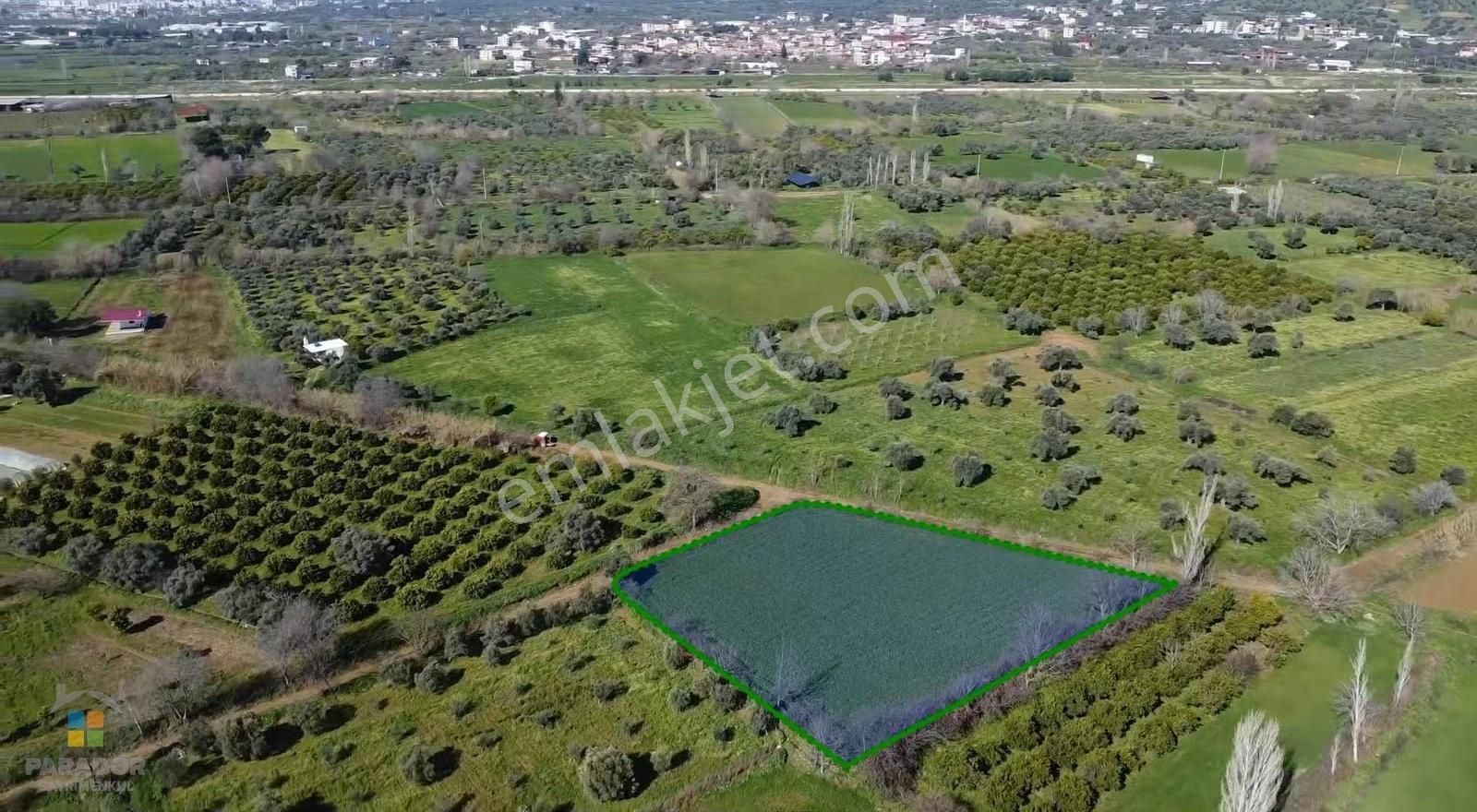 Aydın Nazilli Güzelköy Mahallesinde Satılık 2.762 M² Tarla - Görsel 2