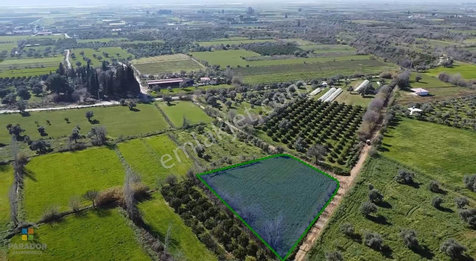 Aydın Nazilli Güzelköy Mahallesinde Satılık 2.762 M² Tarla - Görsel 9