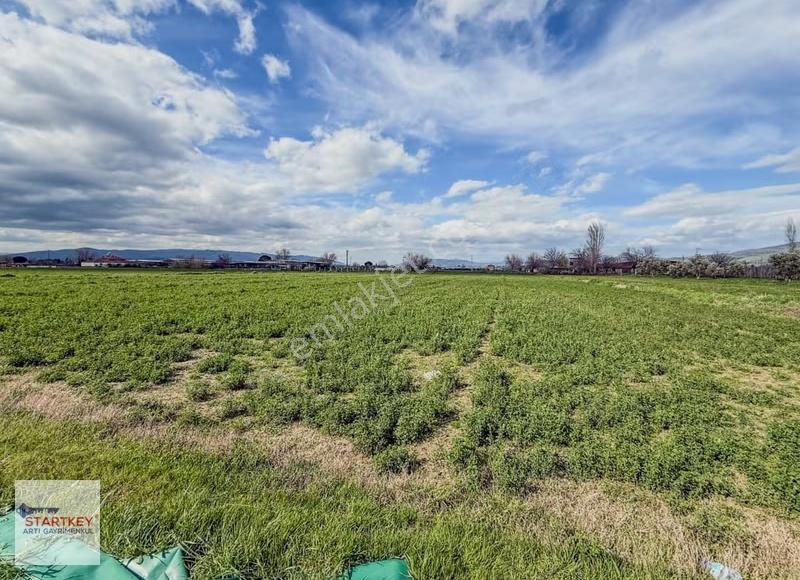 Aydın Çine Sarıoğlu Mh İmar Alanı İçinde 9397m2 Tarla - Görsel 27