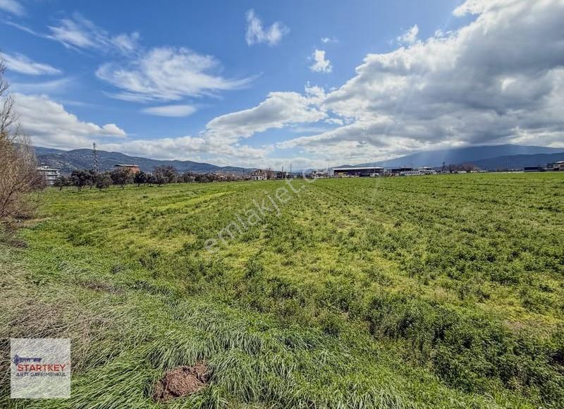 Aydın Çine Sarıoğlu Mh İmar Alanı İçinde 9397m2 Tarla - Görsel 4