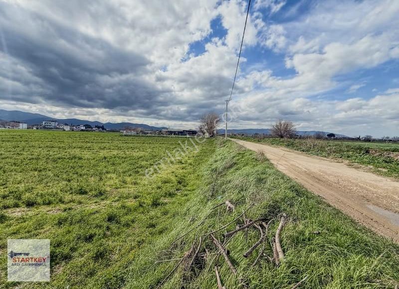 Aydın Çine Sarıoğlu Mh İmar Alanı İçinde 9397m2 Tarla - Görsel 8