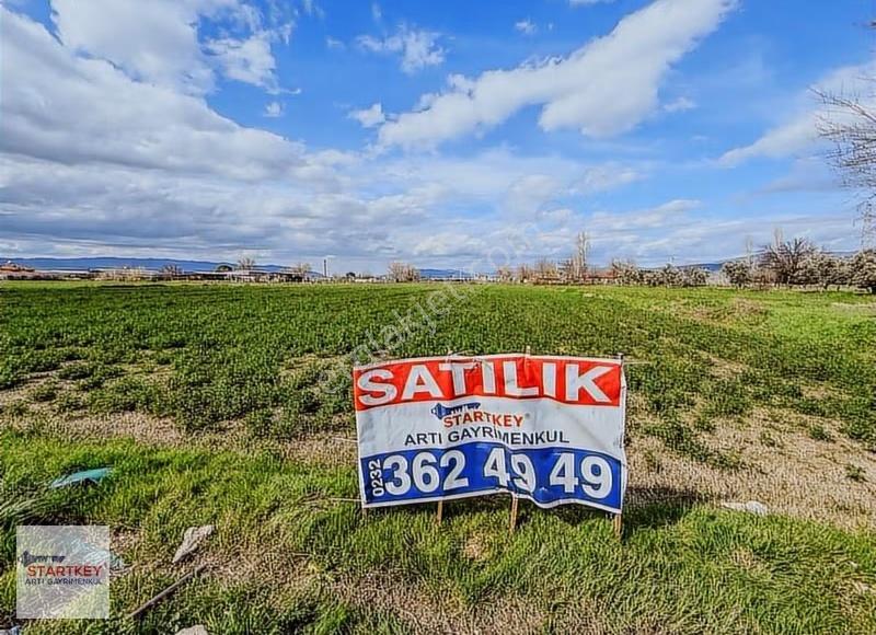 Aydın Çine Sarıoğlu Mh İmar Alanı İçinde 9397m2 Tarla - Görsel 21
