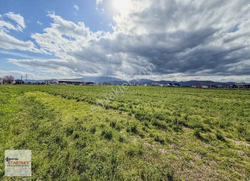 Aydın Çine Sarıoğlu Mh İmar Alanı İçinde 9397m2 Tarla - Görsel 20