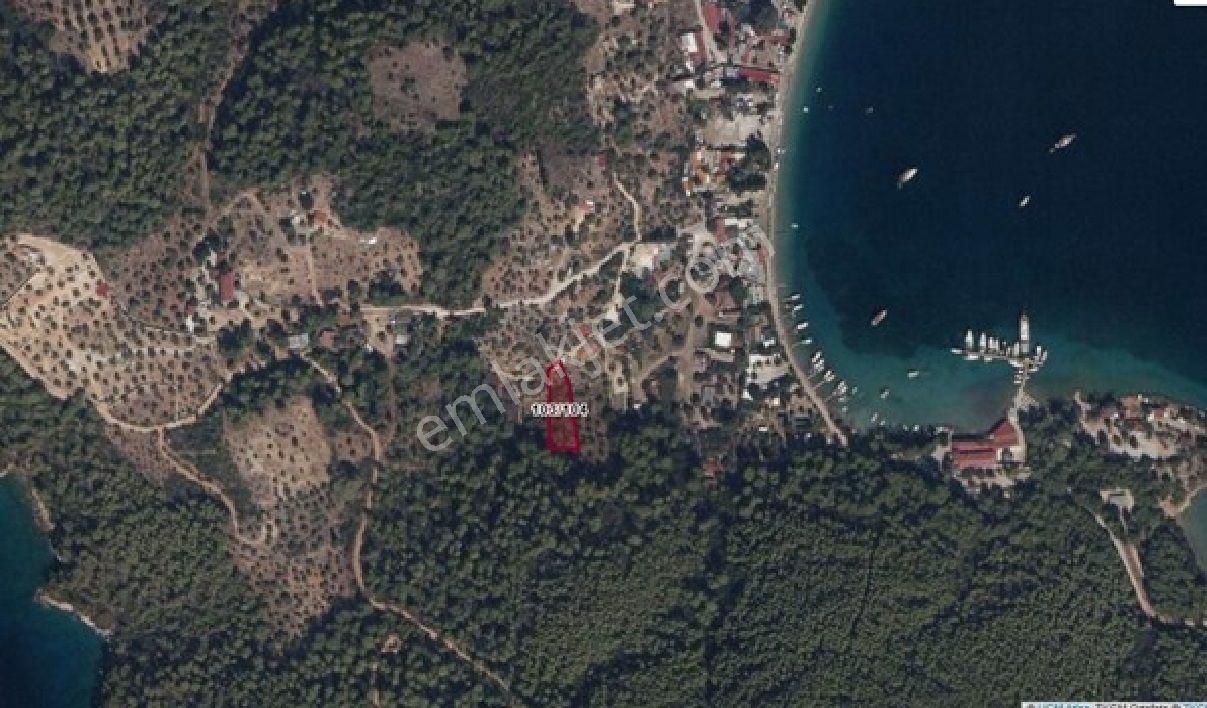 Gökova Körfezi'nin İncisi Akbük Koyu'nda Eşsiz Doğa Parçası - Görsel 6