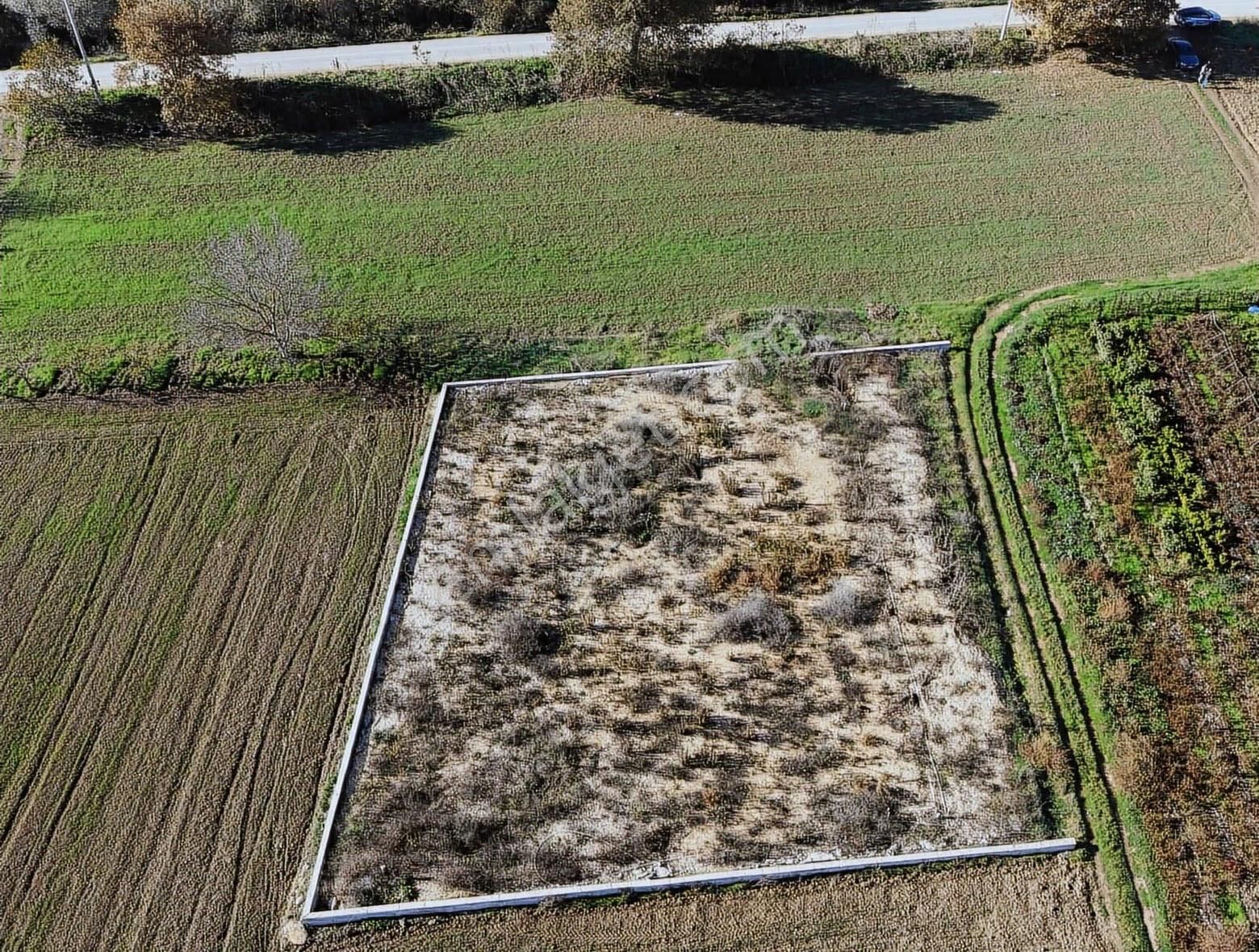 Ana Yola Yakın Altyapısı Hazır 1.150 M² Hisseli Arazi Satılık - Görsel 5