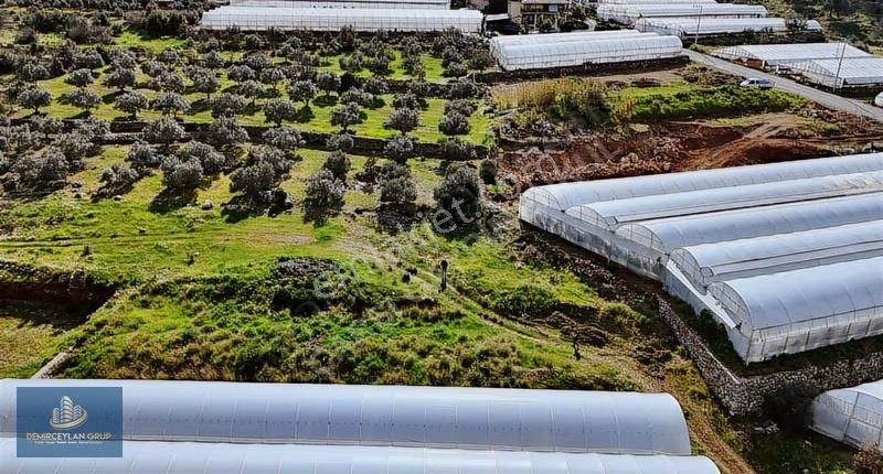 Muğla Fethiye Bozyer'de Satılık 578m² İmarlı Arsa - Görsel 15