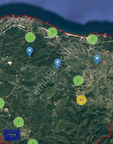 Rookzdoruk'dan Şile Şuayiplide Doğa İçi İster Tam İster Parselli - Görsel 4