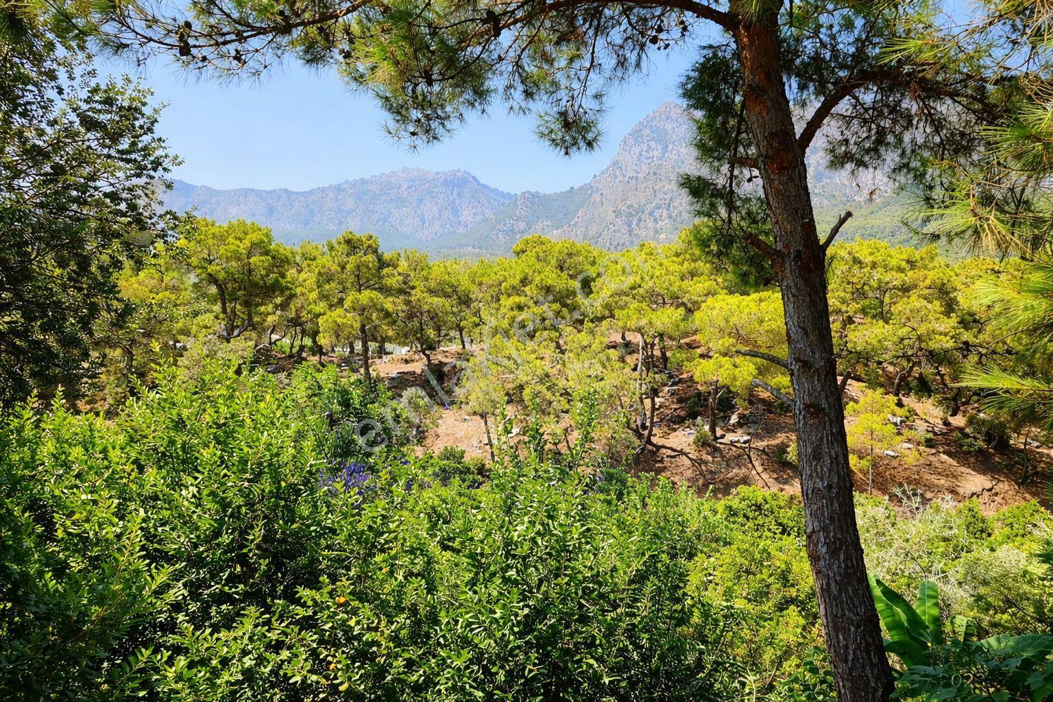Konyaaltı Doyran Merkez’de 675 M² Özel Arsa İçinde Tripleks Villa Tadında Müstakil Yaşam Fırsatı 🌿 - Görsel 8