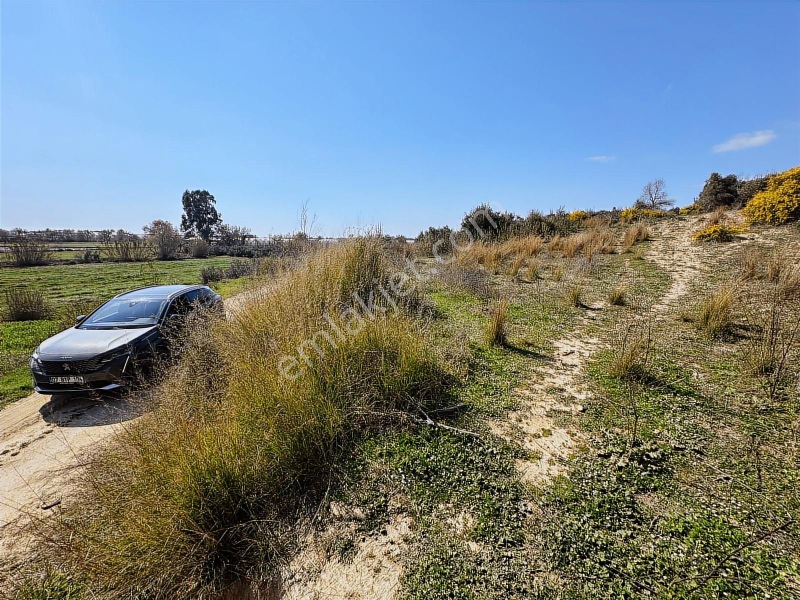 Antalya Manavgat Hacıali Mahallesi Satılık Tek Tapu Tarla - Görsel 24