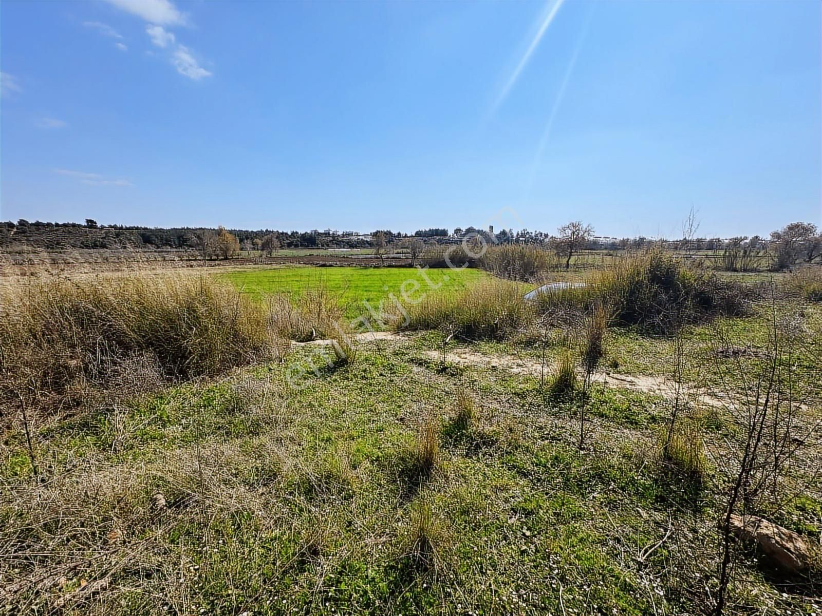 Antalya Manavgat Hacıali Mahallesi Satılık Tek Tapu Tarla - Görsel 15