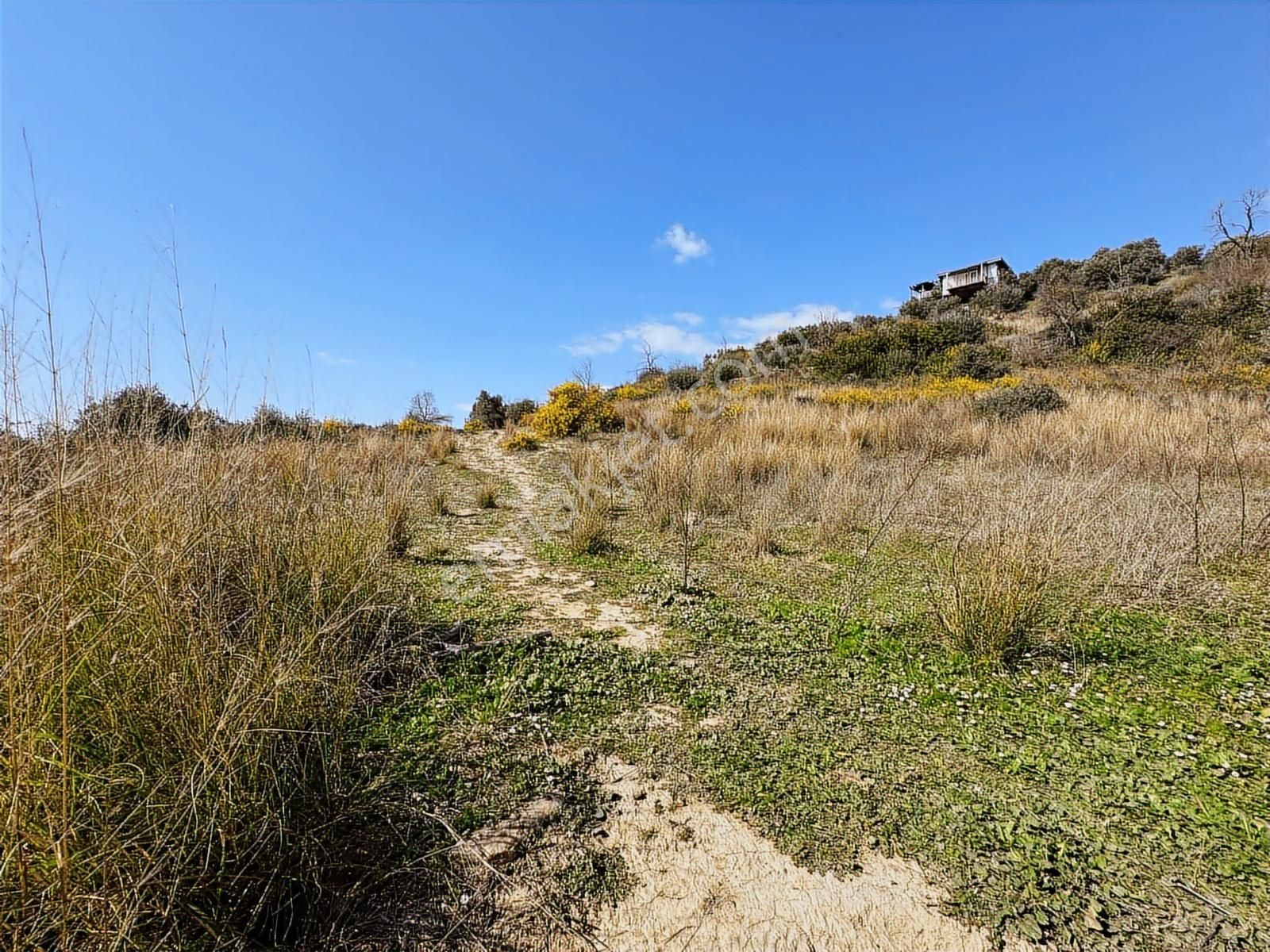 Antalya Manavgat Hacıali Mahallesi Satılık Tek Tapu Tarla - Görsel 14