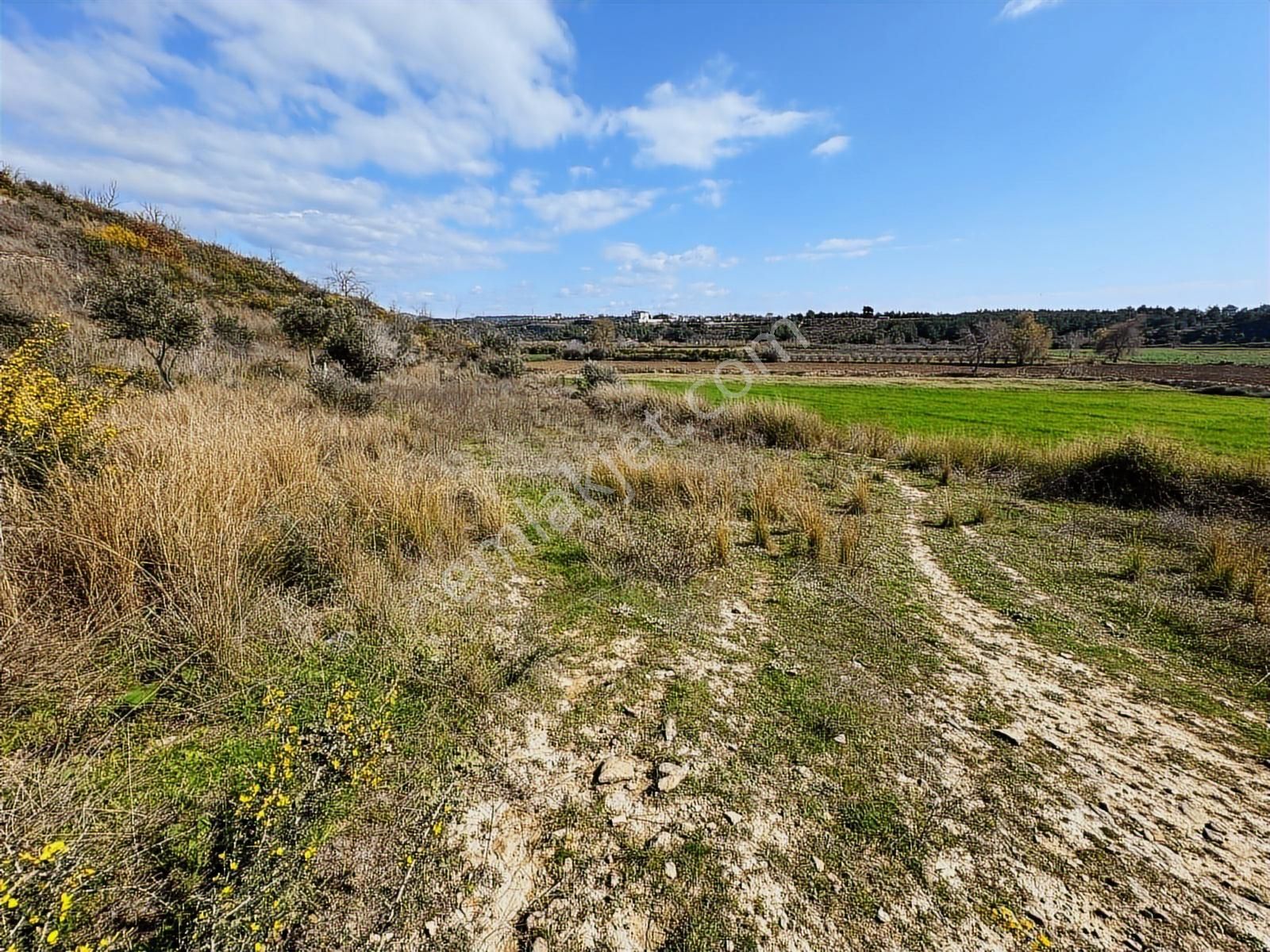 Antalya Manavgat Hacıali Mahallesi Satılık Tek Tapu Tarla - Görsel 8