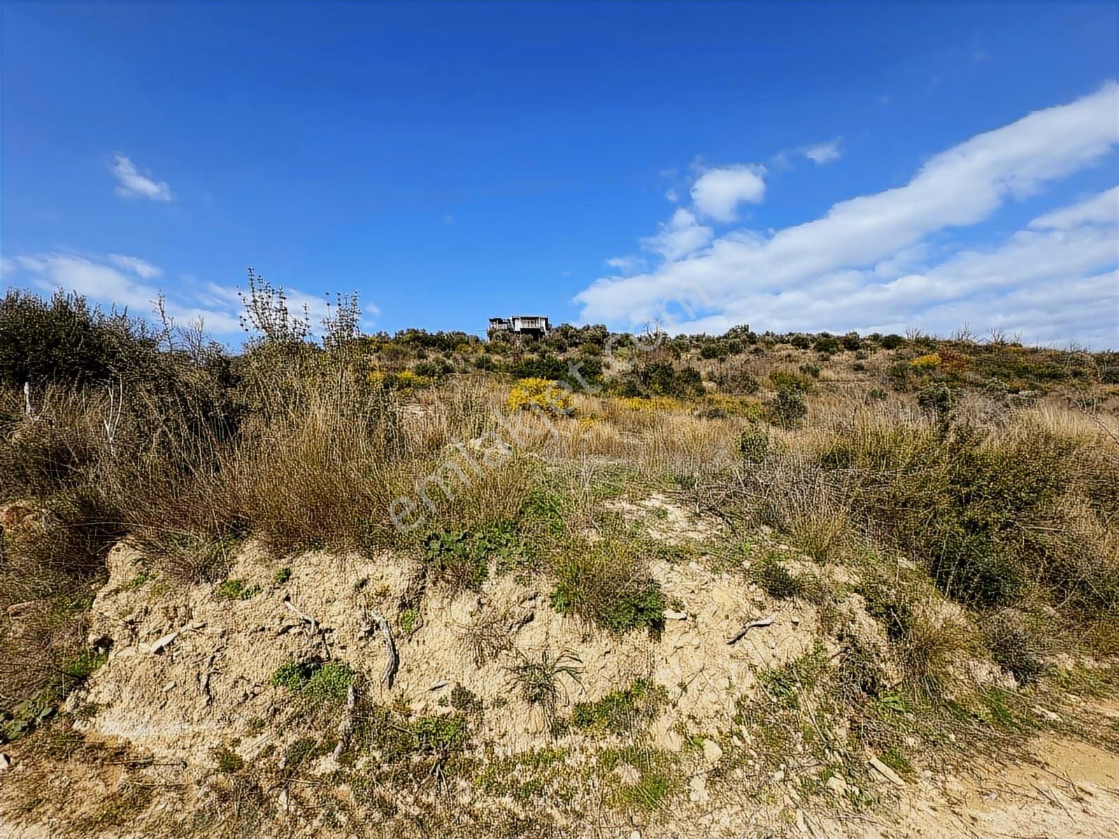 Antalya Manavgat Hacıali Mahallesi Satılık Tek Tapu Tarla - Görsel 11