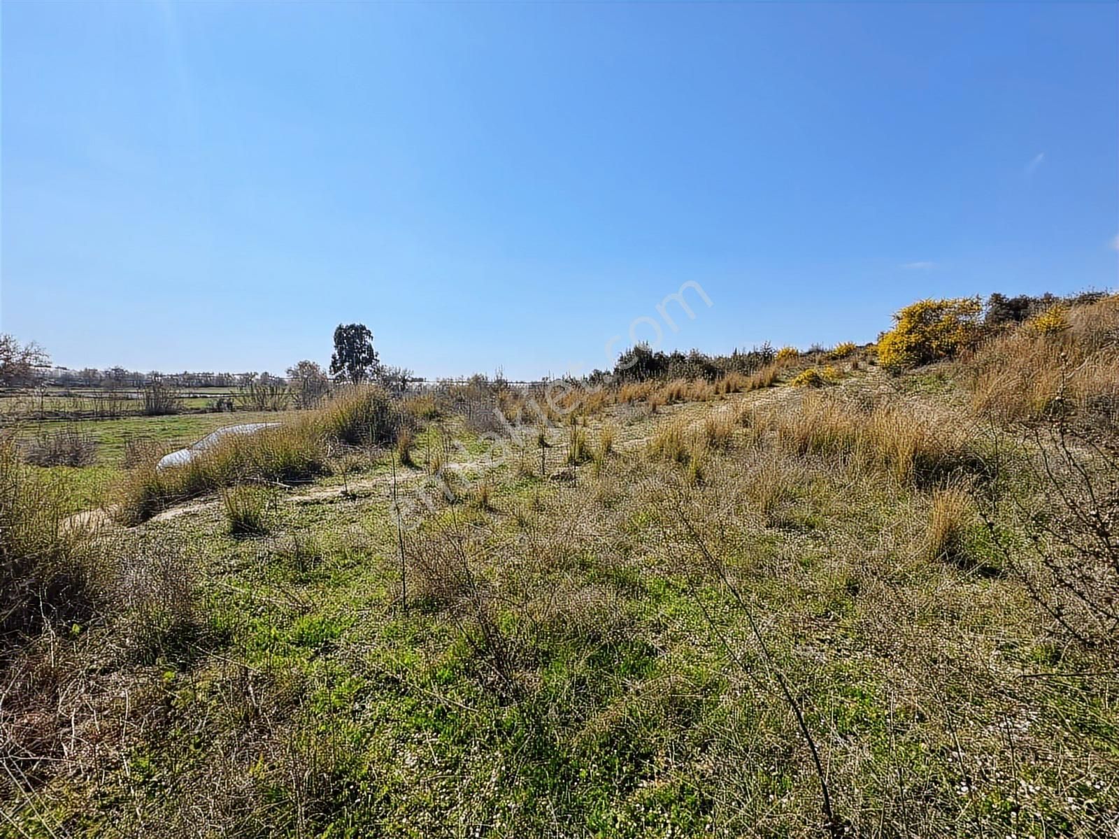Antalya Manavgat Hacıali Mahallesi Satılık Tek Tapu Tarla - Görsel 3