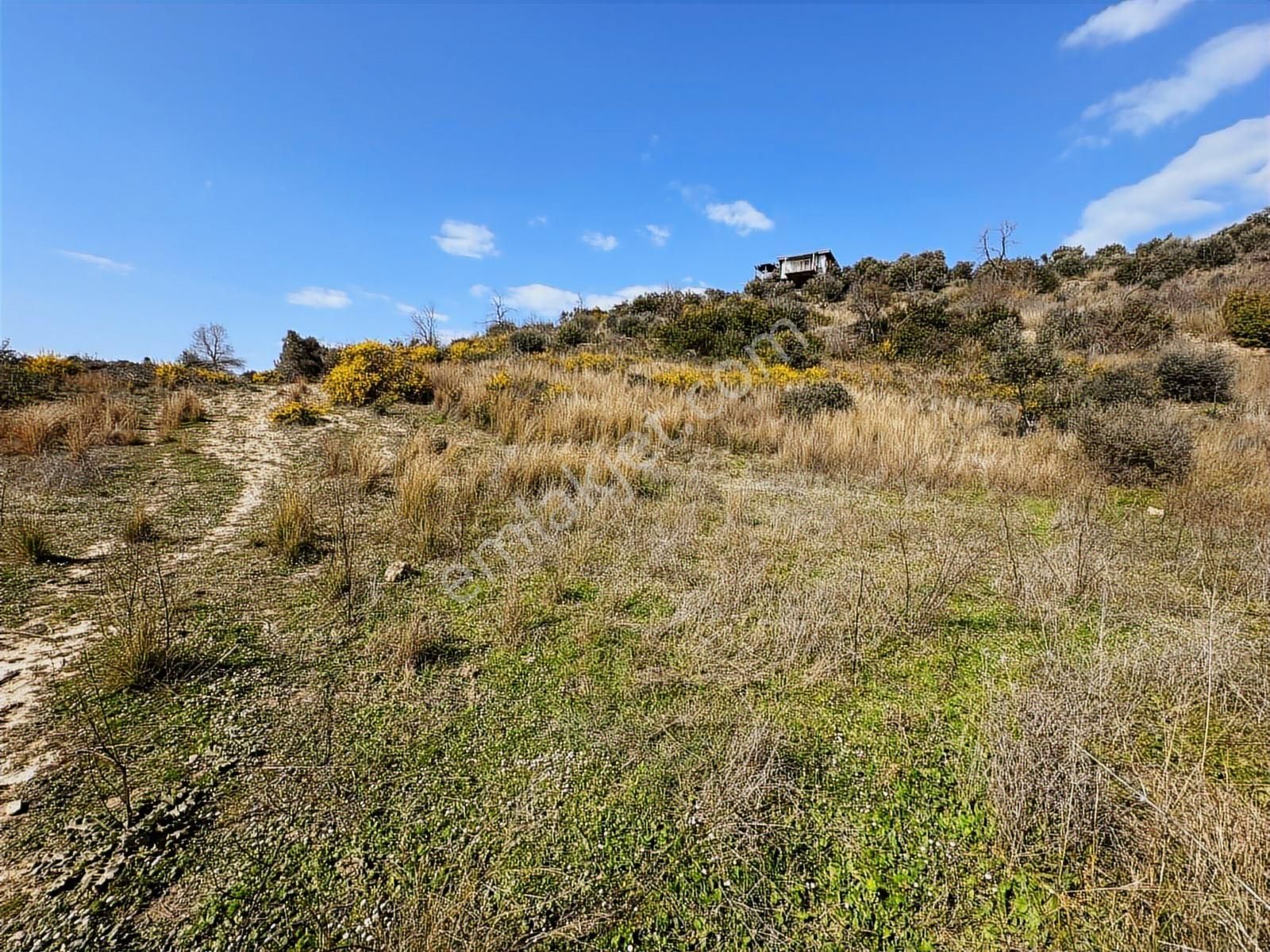 Antalya Manavgat Hacıali Mahallesi Satılık Tek Tapu Tarla - Görsel 22