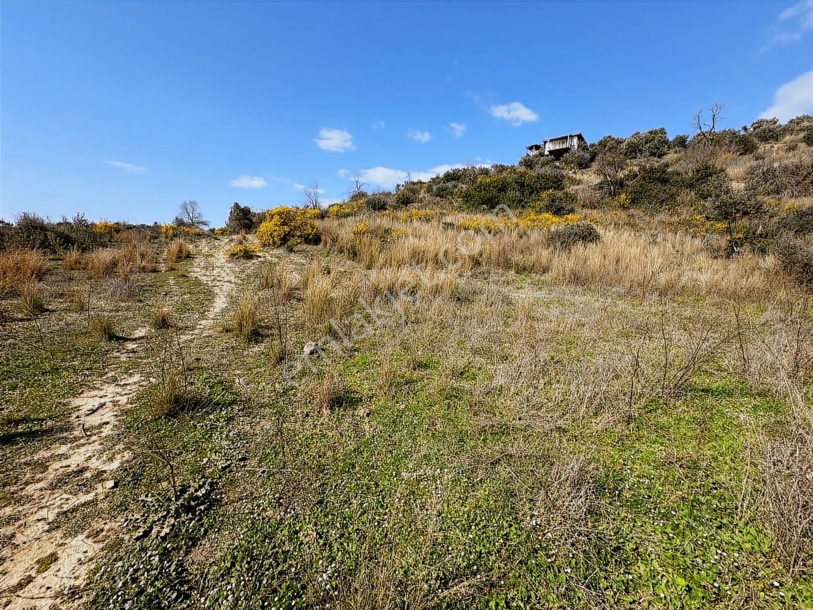 Antalya Manavgat Hacıali Mahallesi Satılık Tek Tapu Tarla - Görsel 23