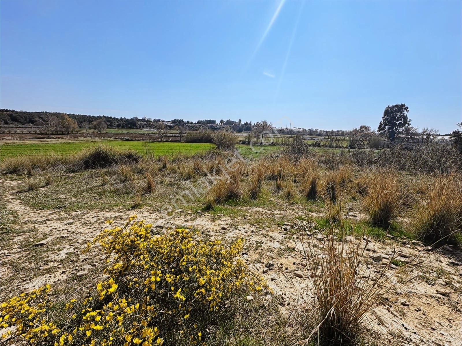 Antalya Manavgat Hacıali Mahallesi Satılık Tek Tapu Tarla - Görsel 9