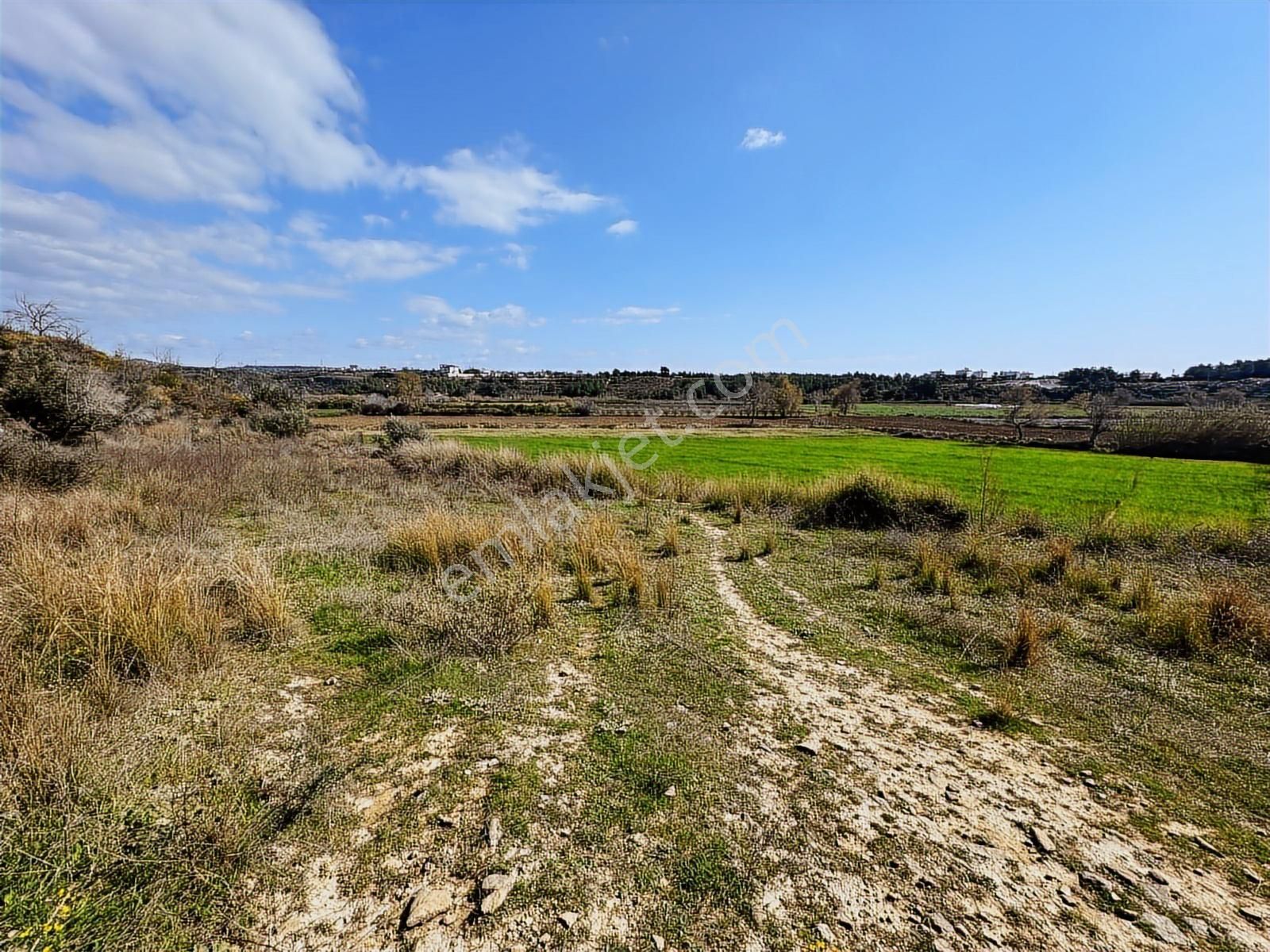 Antalya Manavgat Hacıali Mahallesi Satılık Tek Tapu Tarla - Görsel 25