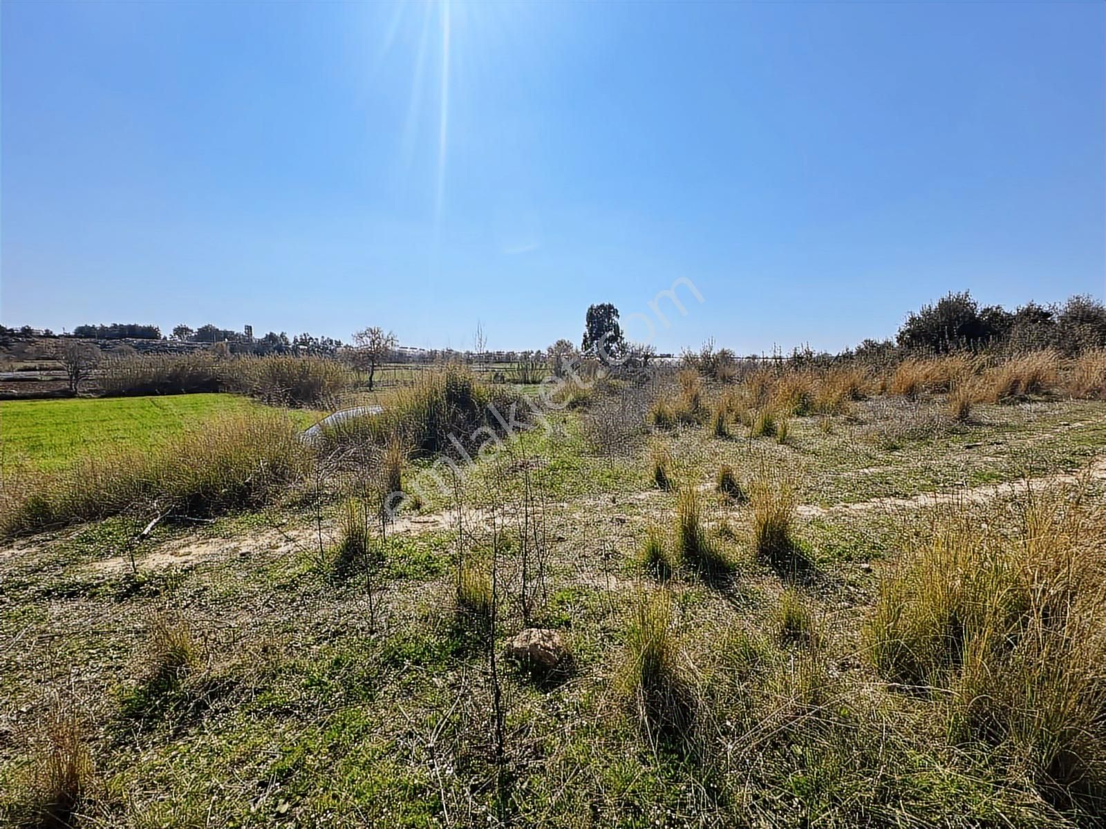 Antalya Manavgat Hacıali Mahallesi Satılık Tek Tapu Tarla - Görsel 16