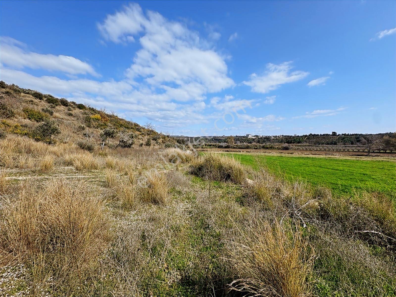 Antalya Manavgat Hacıali Mahallesi Satılık Tek Tapu Tarla