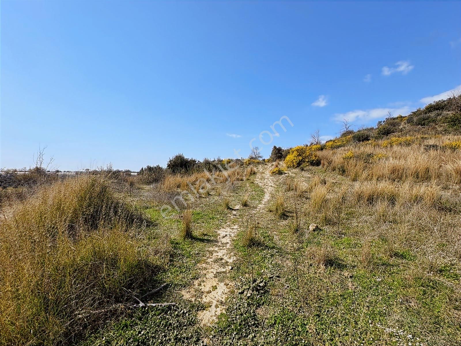 Antalya Manavgat Hacıali Mahallesi Satılık Tek Tapu Tarla - Görsel 21