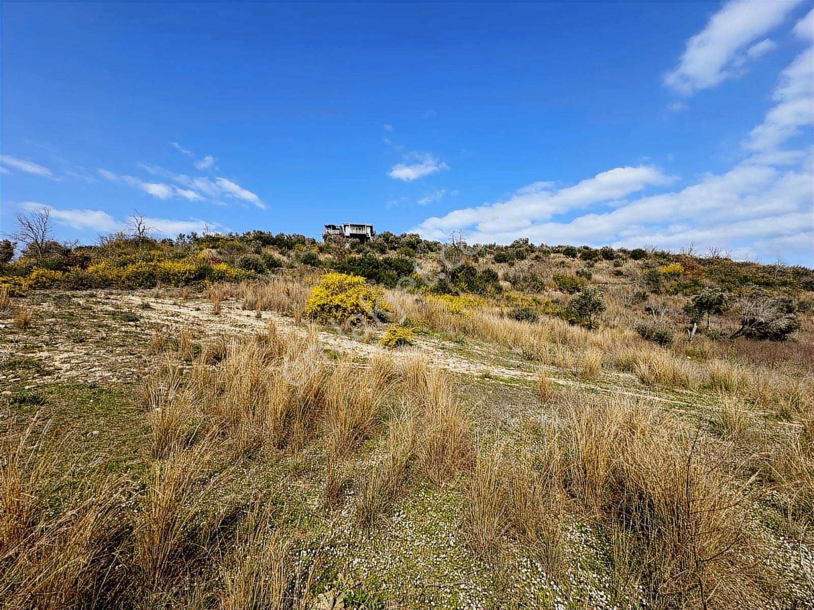 Antalya Manavgat Hacıali Mahallesi Satılık Tek Tapu Tarla - Görsel 10