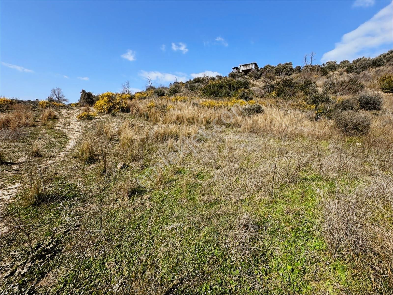 Antalya Manavgat Hacıali Mahallesi Satılık Tek Tapu Tarla - Görsel 2