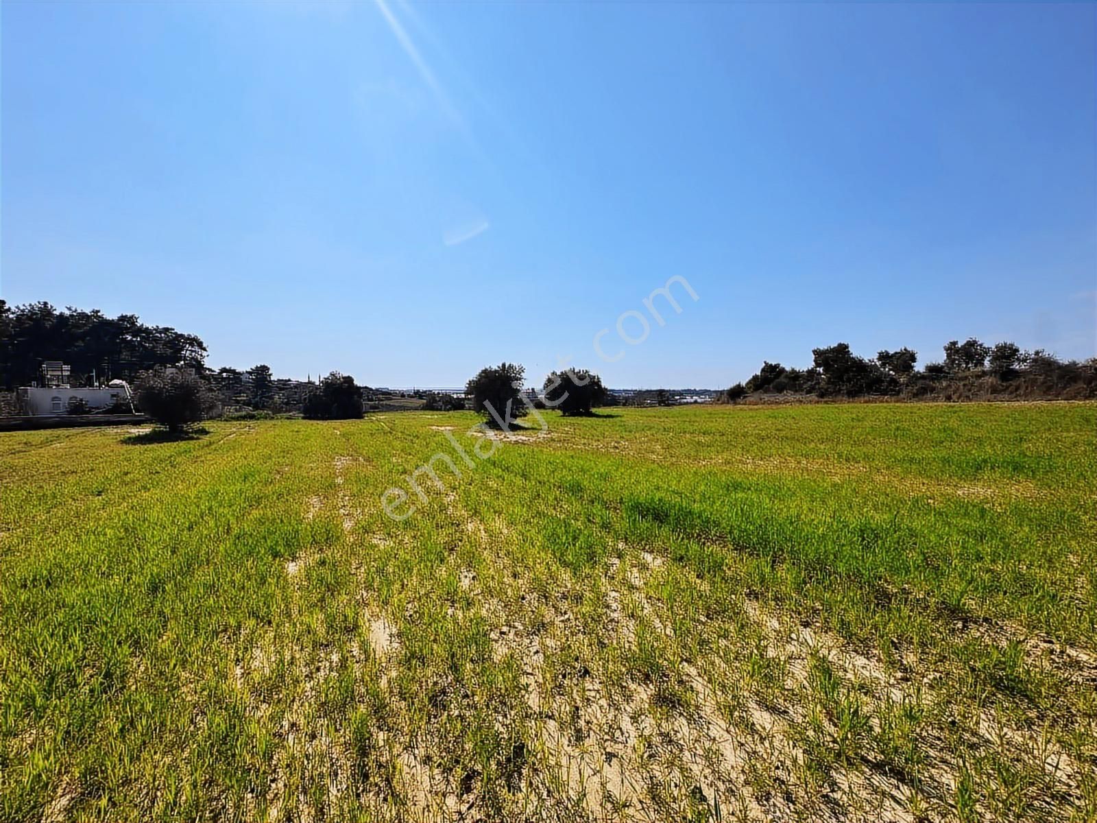 Antalya Manavgat Seydiler Mahallesi Satılık Tek Tapu Tarla