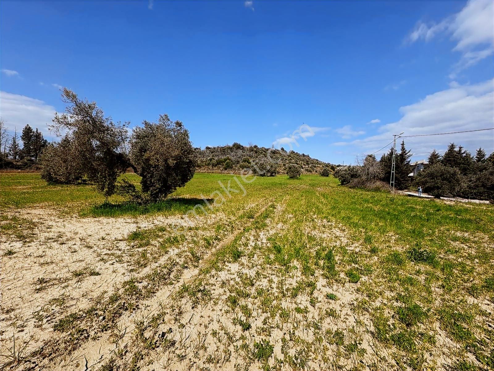 Antalya Manavgat Seydiler Mahallesi Satılık Tek Tapu Tarla - Görsel 5