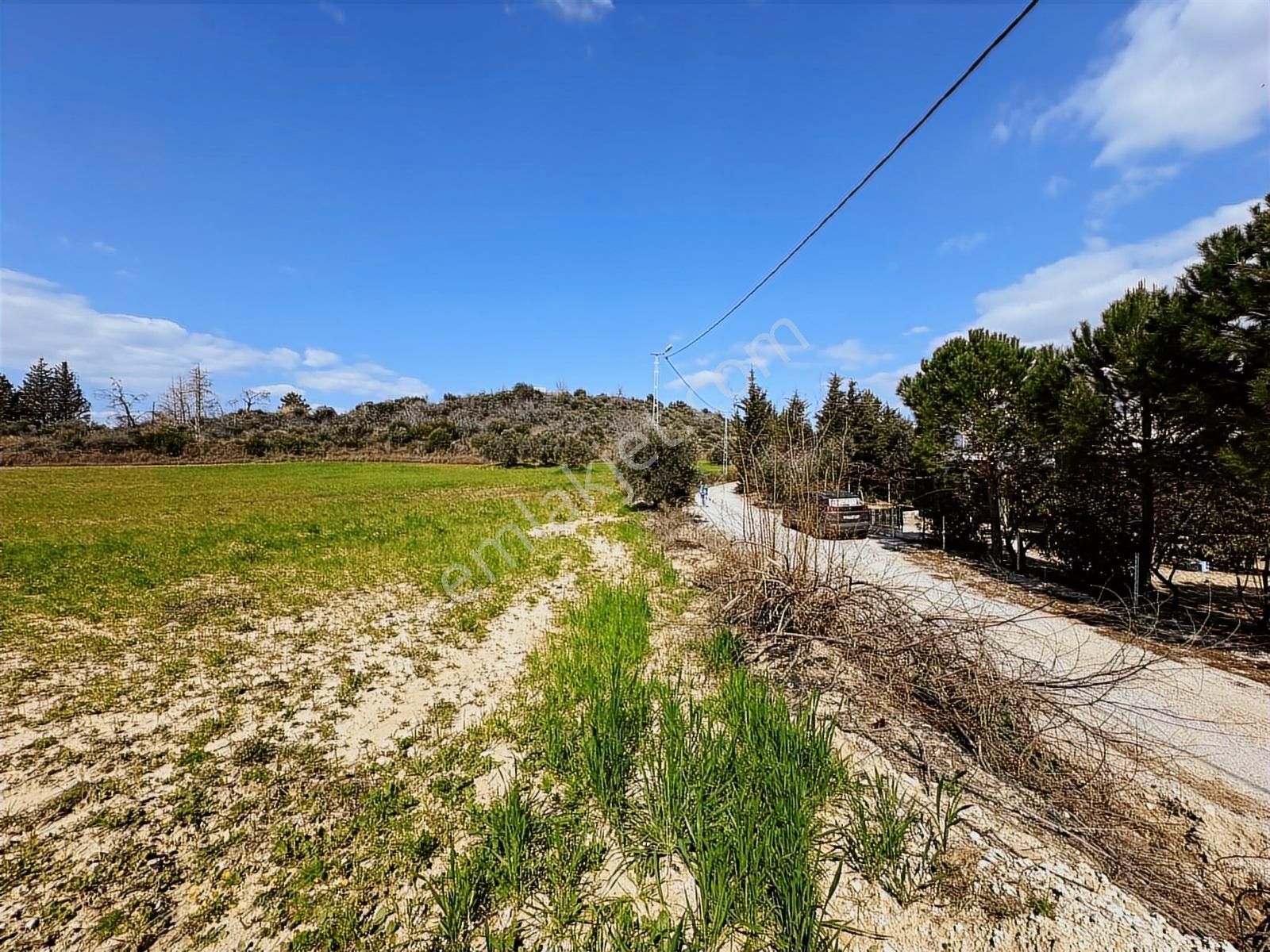 Antalya Manavgat Seydiler Mahallesi Satılık Tek Tapu Tarla - Görsel 31