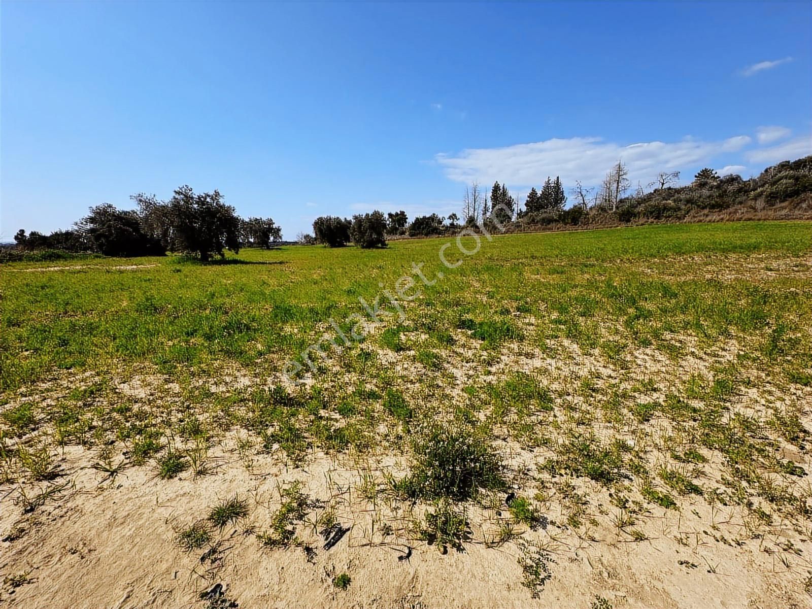 Antalya Manavgat Seydiler Mahallesi Satılık Tek Tapu Tarla - Görsel 33