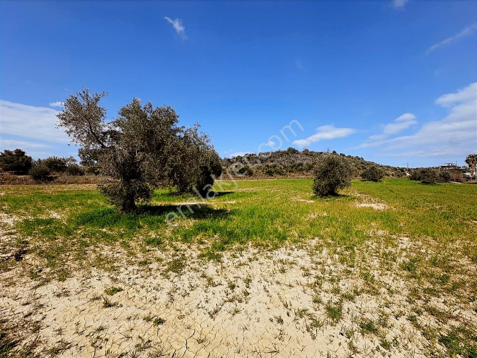 Antalya Manavgat Seydiler Mahallesi Satılık Tek Tapu Tarla - Görsel 4