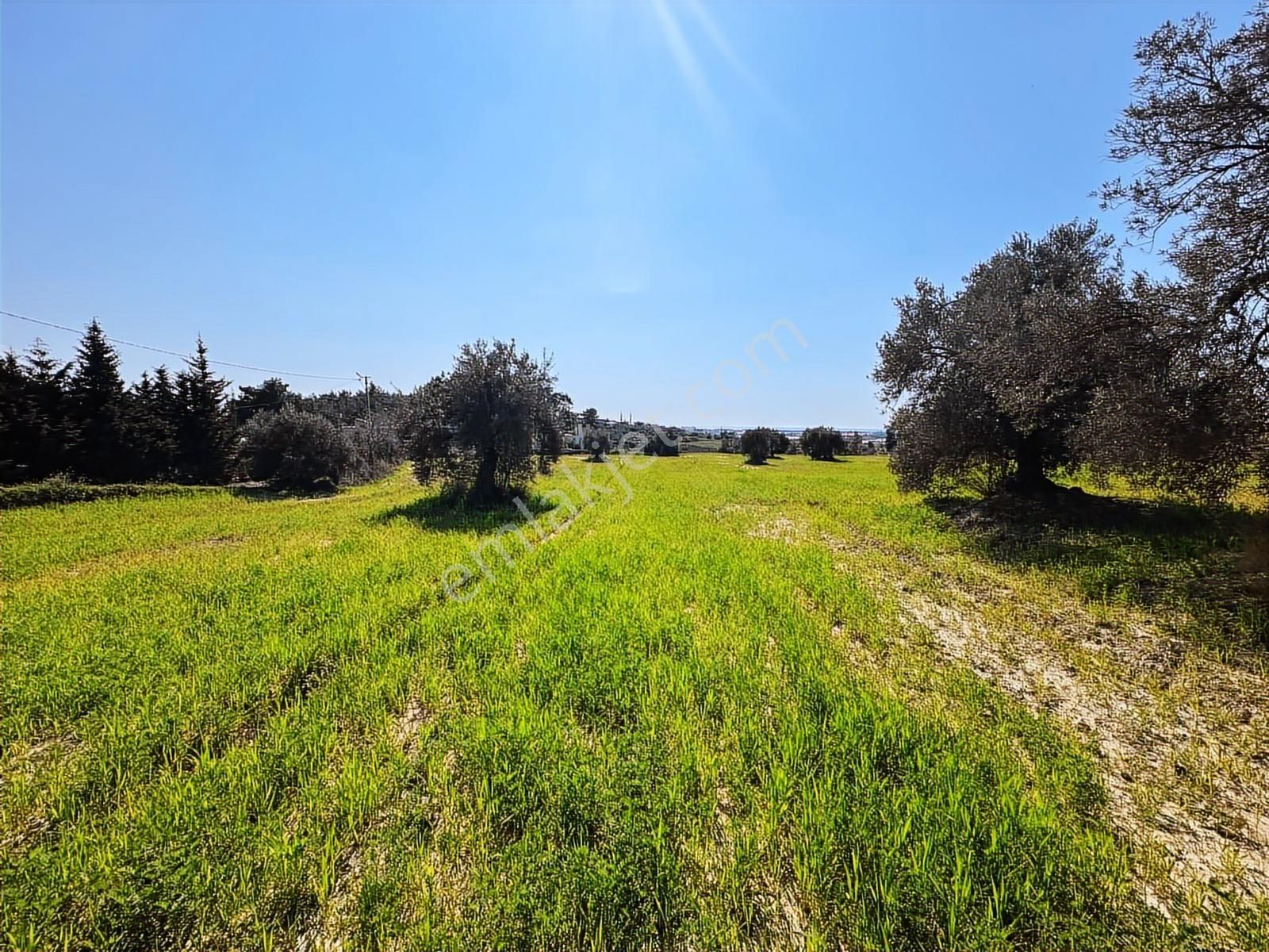 Antalya Manavgat Seydiler Mahallesi Satılık Tek Tapu Tarla - Görsel 18