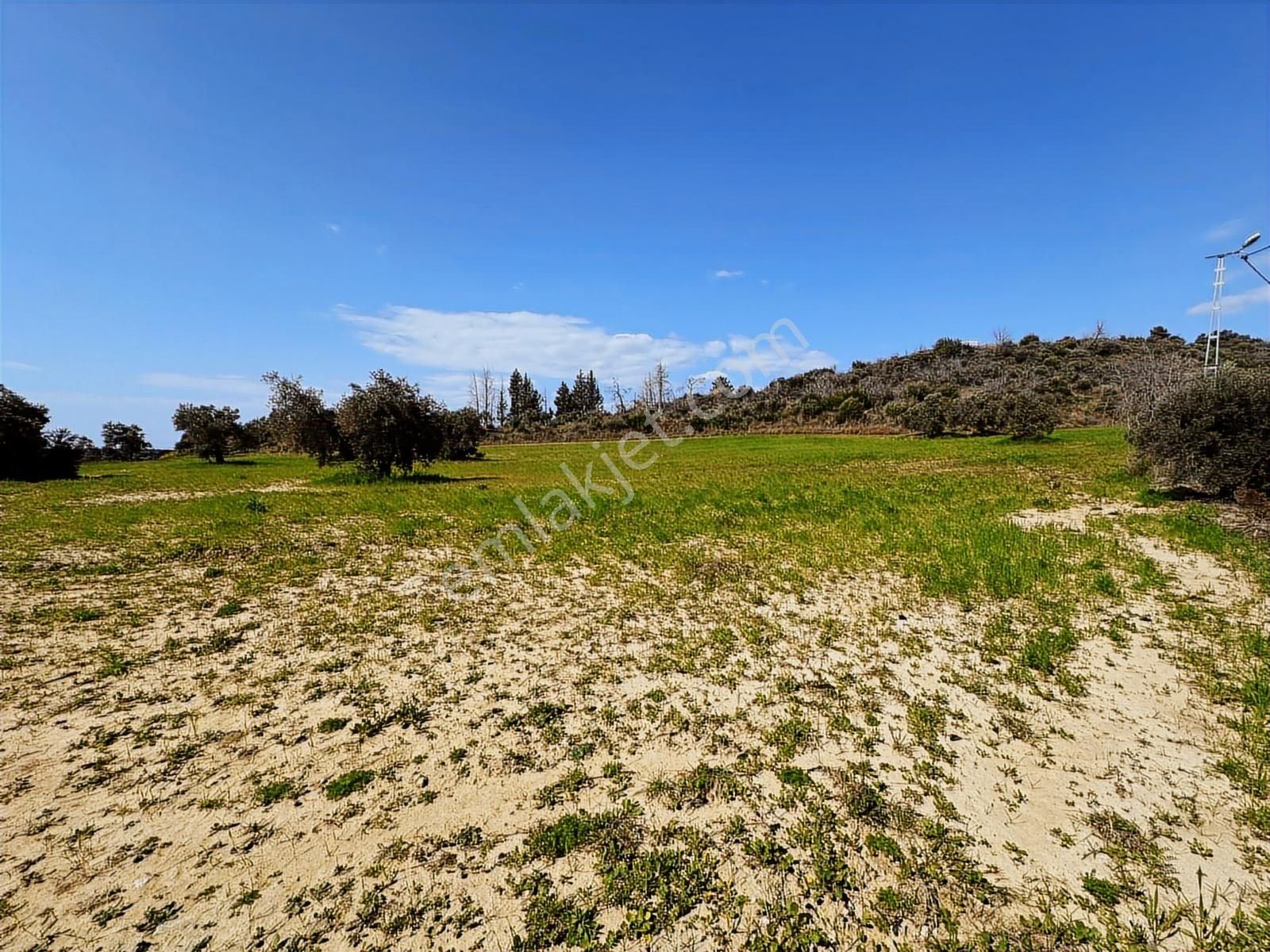 Antalya Manavgat Seydiler Mahallesi Satılık Tek Tapu Tarla - Görsel 30