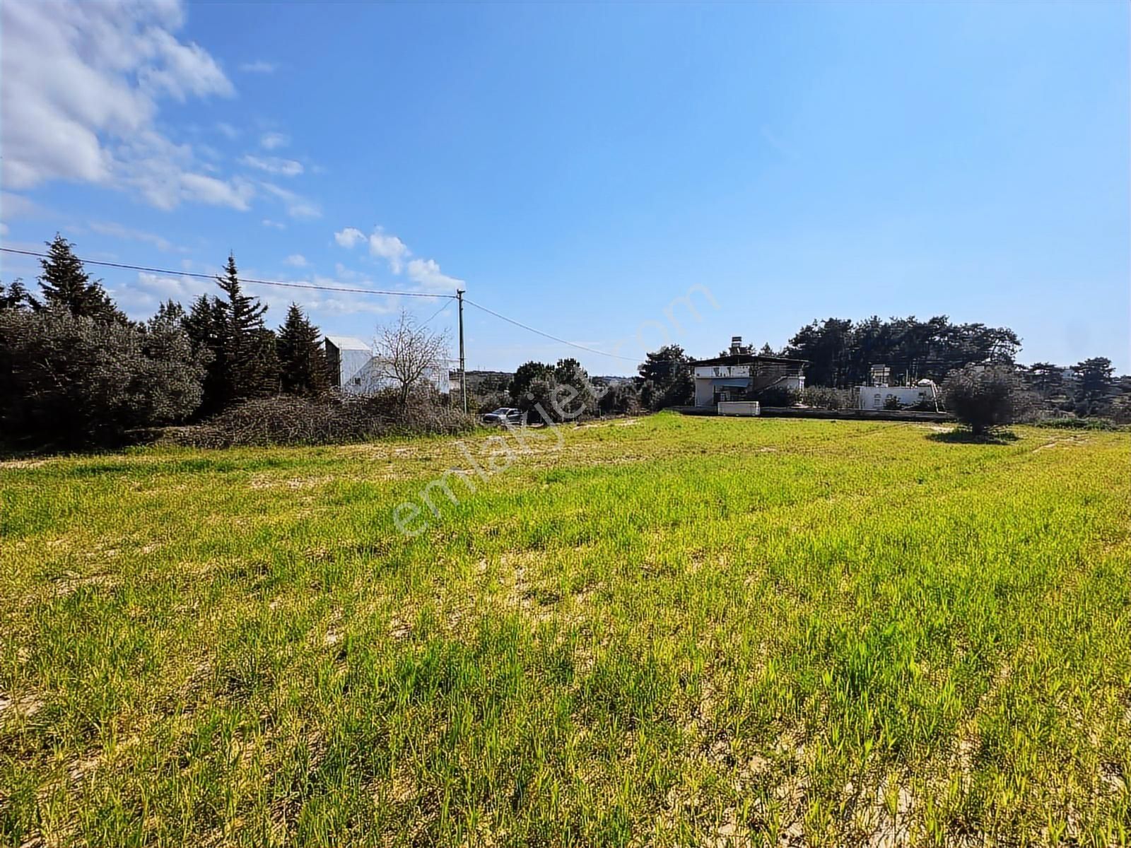 Antalya Manavgat Seydiler Mahallesi Satılık Tek Tapu Tarla - Görsel 6