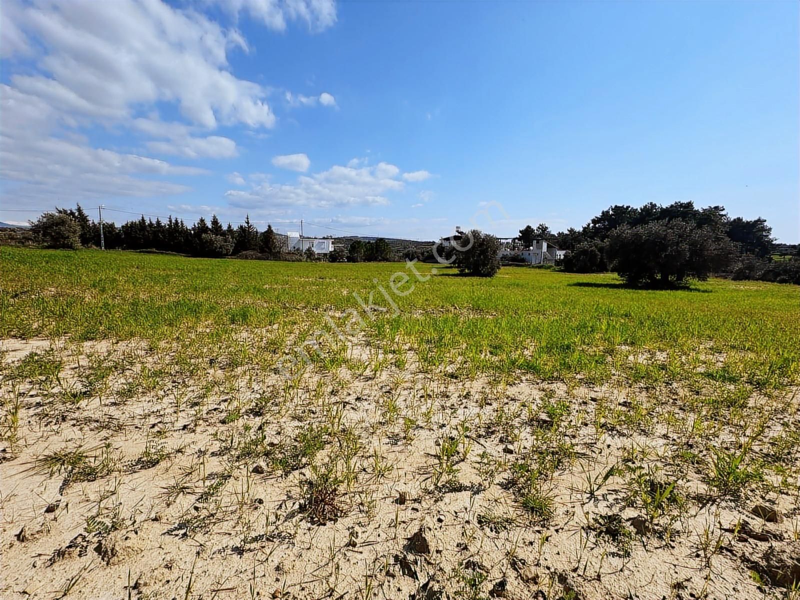 Antalya Manavgat Seydiler Mahallesi Satılık Tek Tapu Tarla - Görsel 3