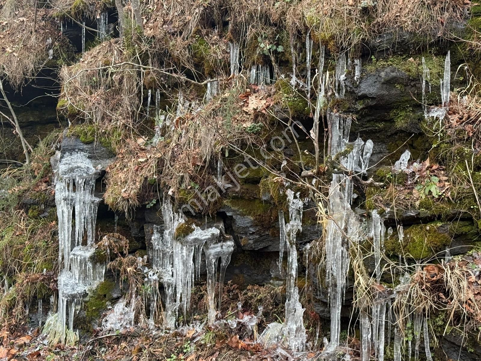 Bayındır Çınardibi'nde 250m² İnşaat İzinli - Meyvelik Ve Manzara - Görsel 5