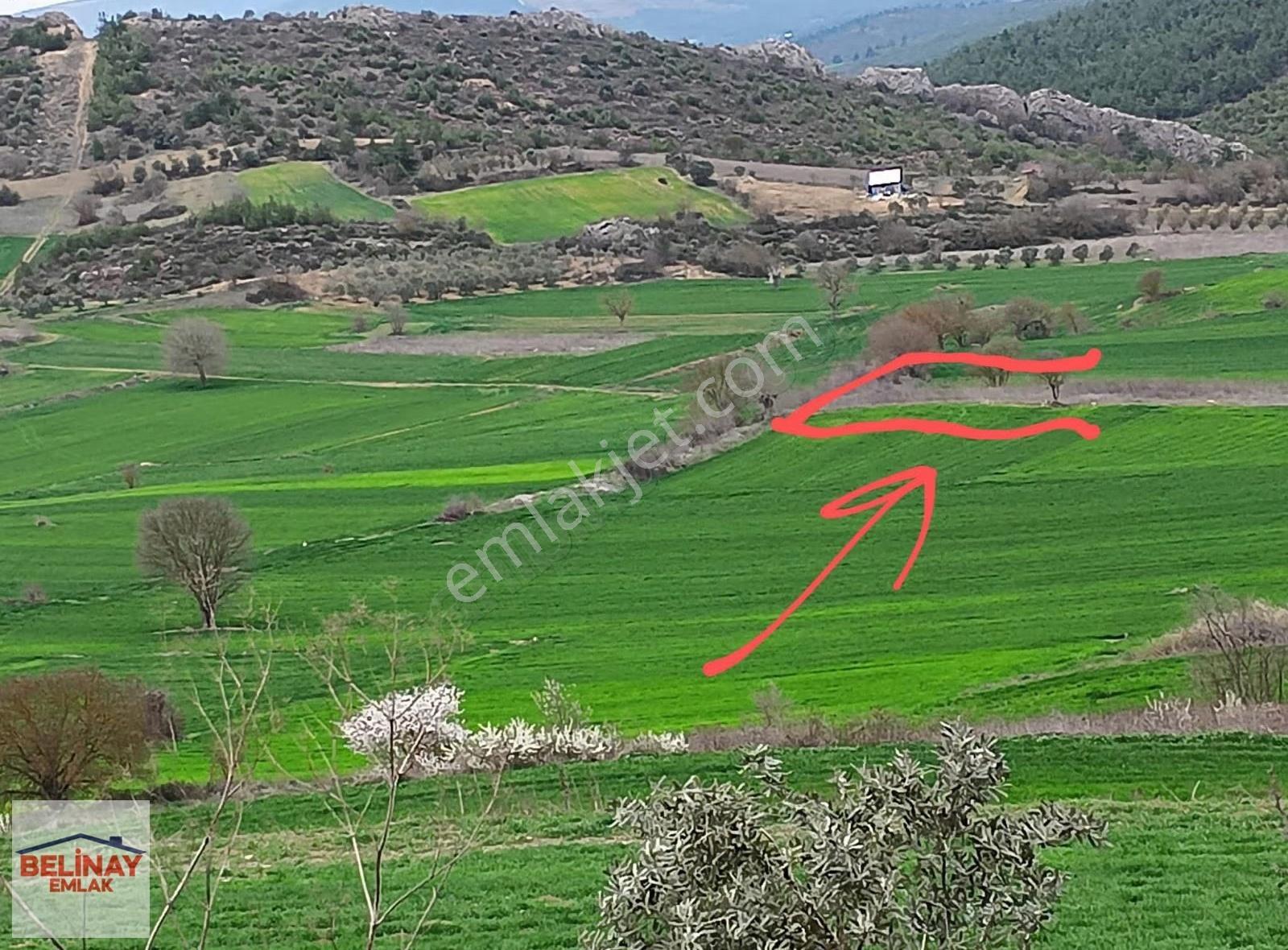 ️medetli Köyünde Resmi Yolu Olan Köye Yakın Satılık Arazi️ - Görsel 2