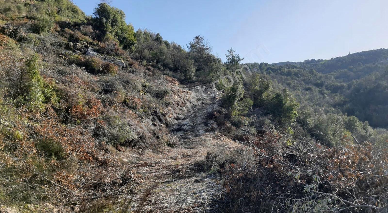 Şenköy De Uygun Arazı - Görsel 8