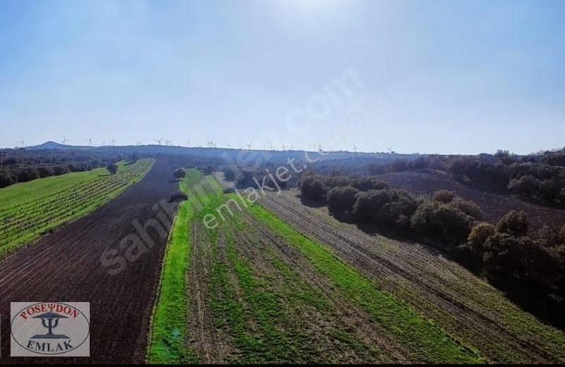 Ezine/mahmudiyede Uygun Fiyatlı Satılık Tarla - Görsel 20