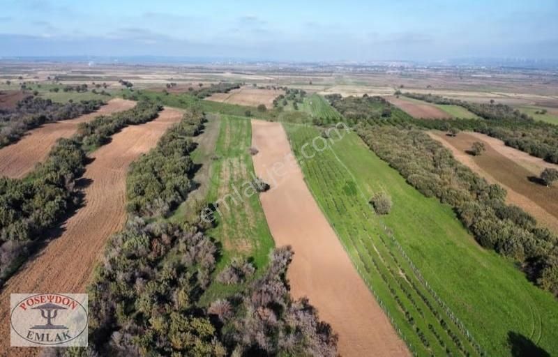 Ezine/mahmudiyede Uygun Fiyatlı Satılık Tarla - Görsel 15